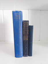 Load image into Gallery viewer, Navy Antique Book Set
