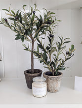 Load image into Gallery viewer, Olive Tree Gift Set - Gift Set + Bundle
