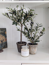 Load image into Gallery viewer, Olive Tree Gift Set - Gift Set + Bundle
