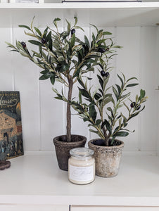 Olive Tree Gift Set - Gift Set + Bundle