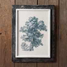 Load image into Gallery viewer, English Oak Tree Art
