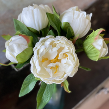 Load image into Gallery viewer, White Peonies
