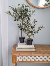 Load image into Gallery viewer, 19&quot; Olive Topiary
