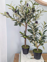 Load image into Gallery viewer, 26&quot; Olive Topiary
