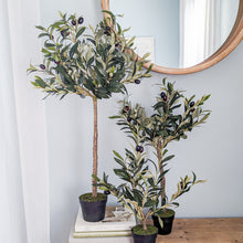 Load image into Gallery viewer, 32&quot; Olive Topiary
