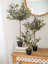 Load image into Gallery viewer, 19&quot; Olive Topiary
