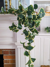 Load image into Gallery viewer, Boxwood Hanging Bush
