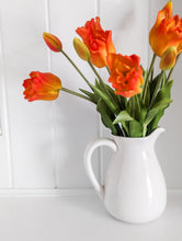 Load image into Gallery viewer, Parrot Tulip Bundle
