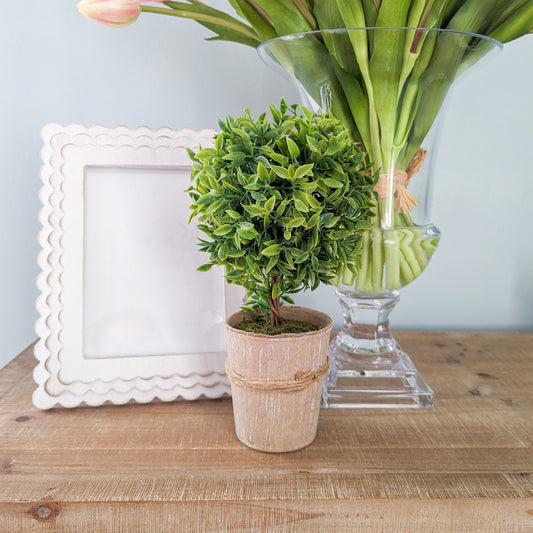 Faux Boxwood Topiary