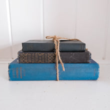 Load image into Gallery viewer, Antique Blue Book Set
