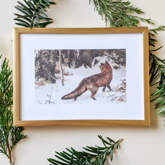 Fox Vintage Print