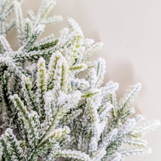 Snowy Pine Stem