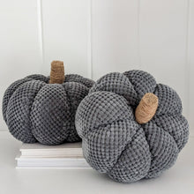 Load image into Gallery viewer, Gray Soft Pumpkin
