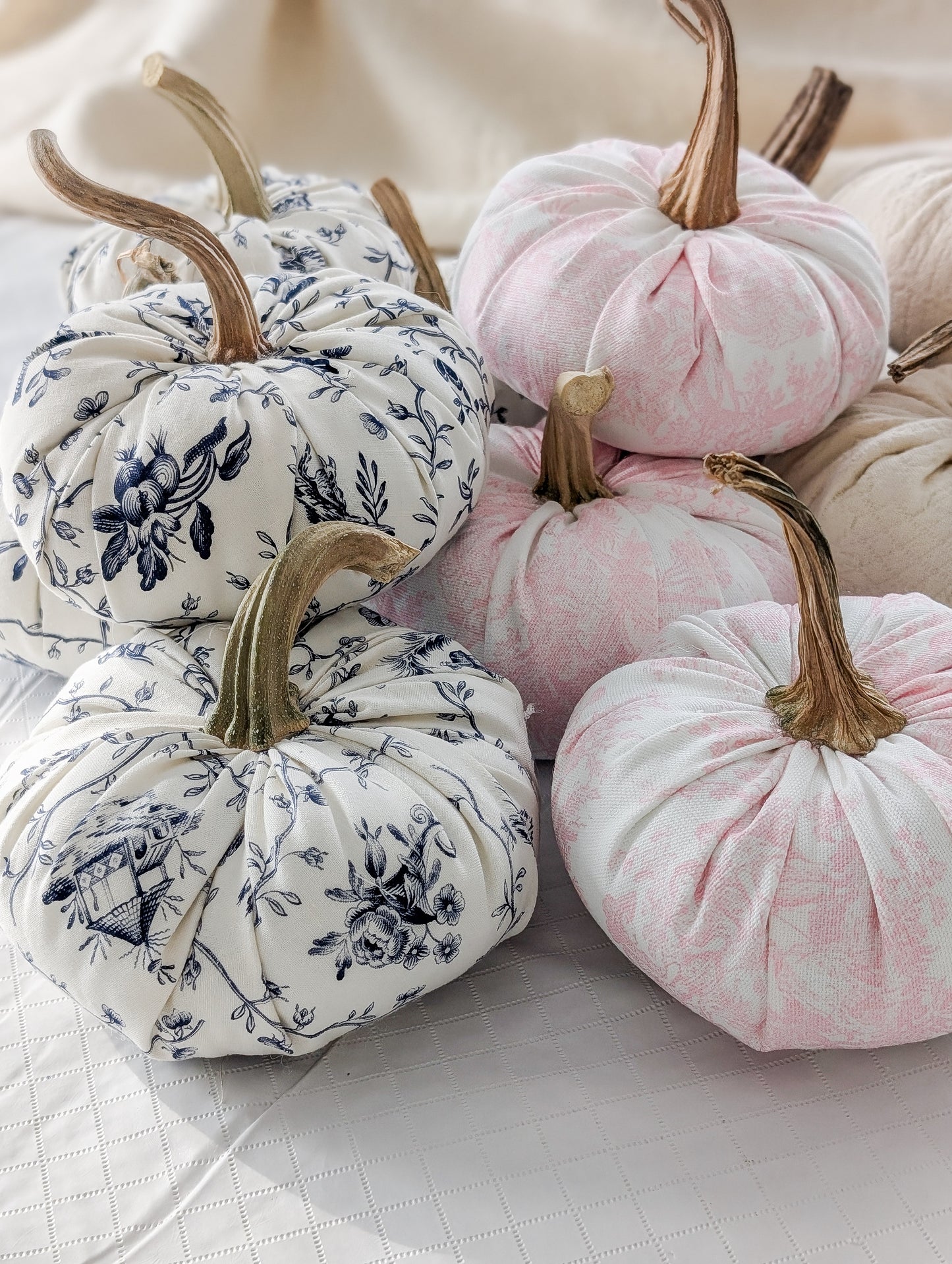 Toile Pink & White Pumpkin