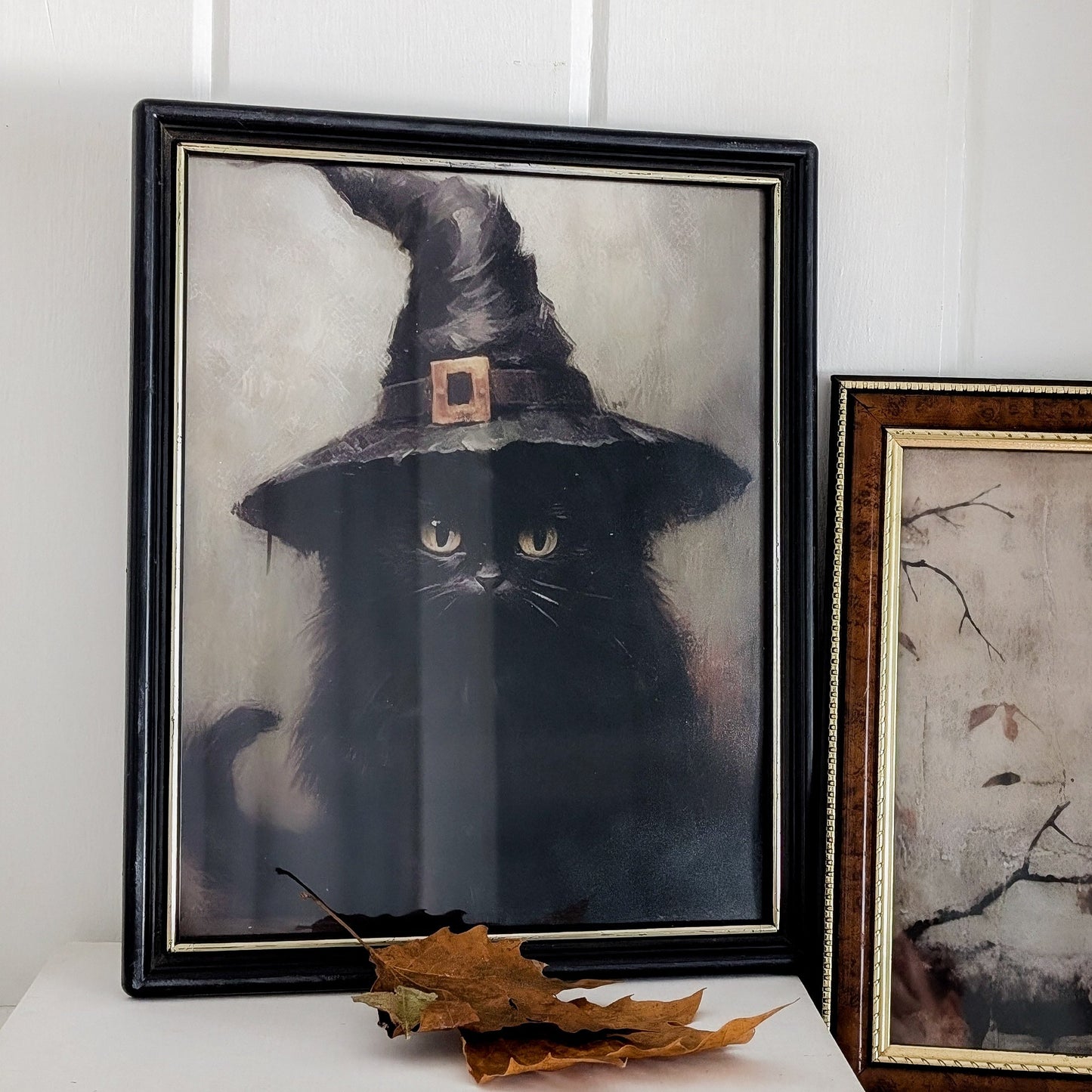 Found Frame Spooky Cat