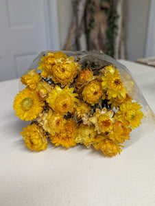 Dried Yellow Flowers