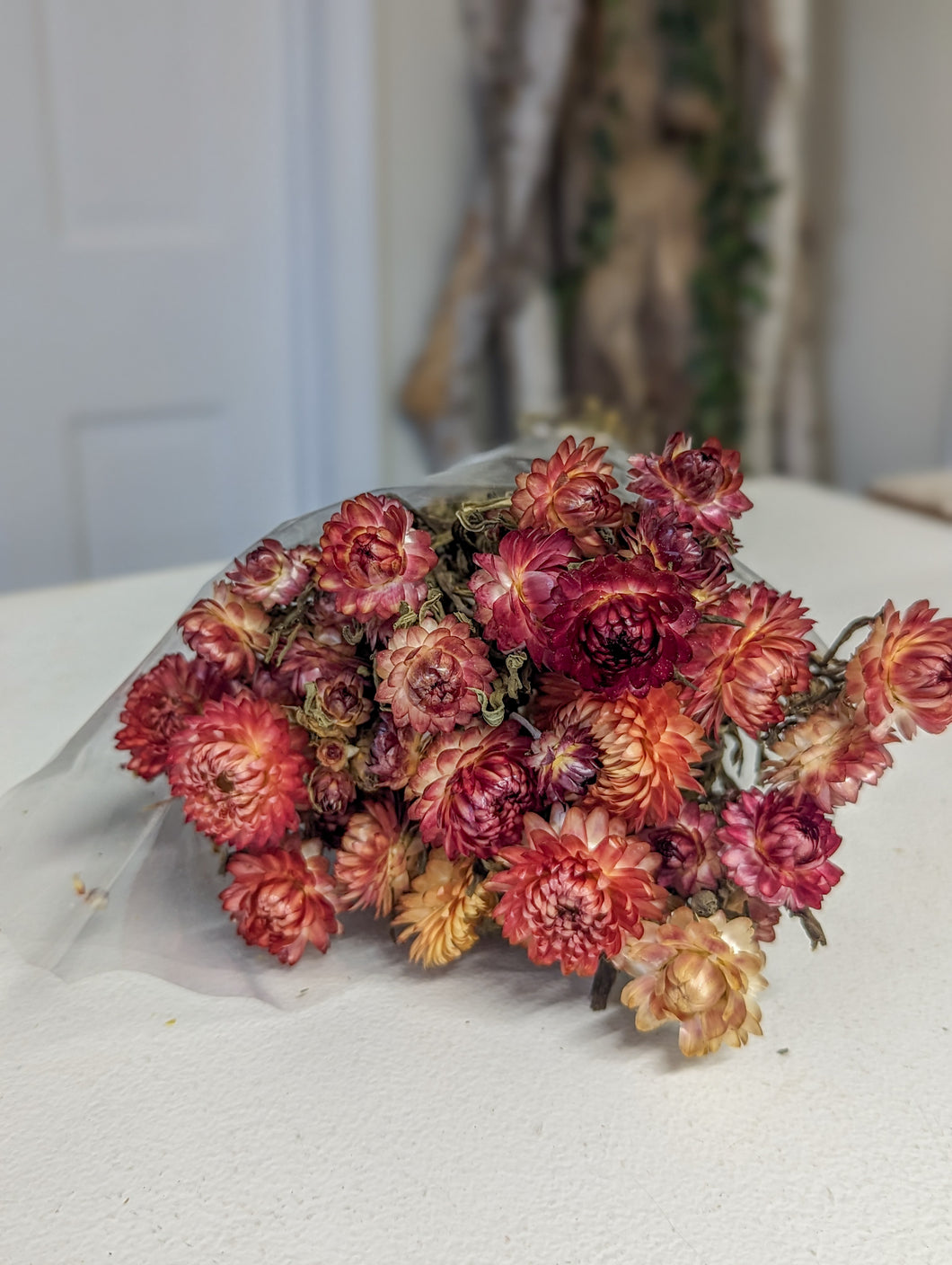 Burnt Pink Dried Floral